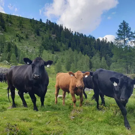 Aignerhof Apartmán Schellgaden