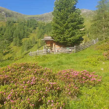 公寓 Aignerhof Schellgaden