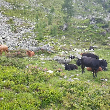 Aignerhof شقة Schellgaden