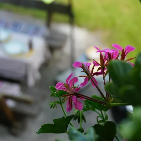 Aignerhof Apartmán Schellgaden