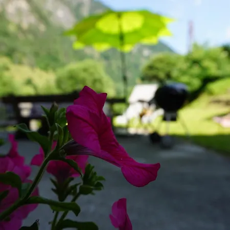 Apartmán Aignerhof *