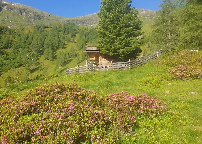 Daire Aignerhof Schellgaden