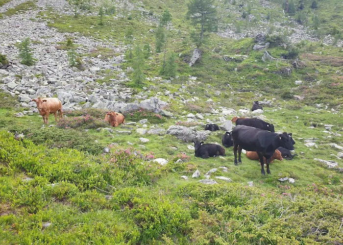 Aignerhof 公寓 Schellgaden