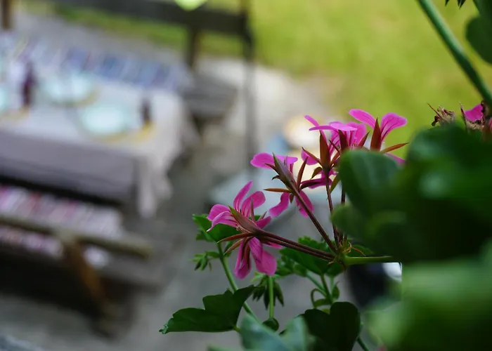 Aignerhof 公寓 Schellgaden